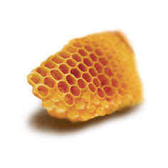 PROPOLIS